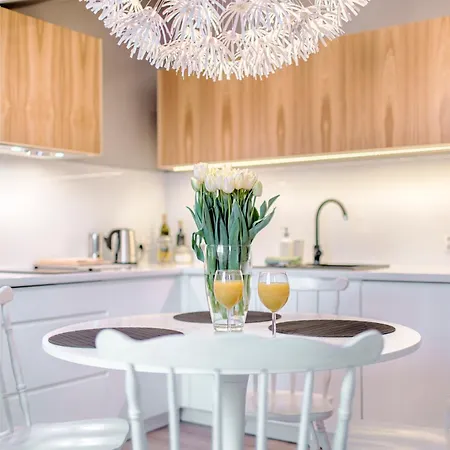 Tyzenhauz Arianska Street Apartment